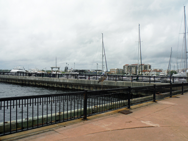 the pier